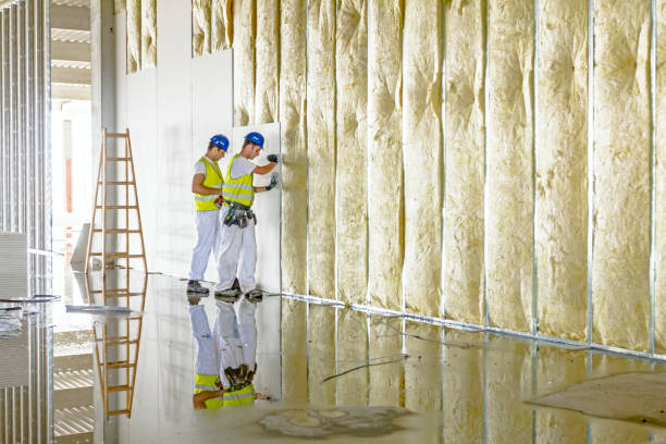 Best Insulation Contractors for Homes  in Neah Bay, WA